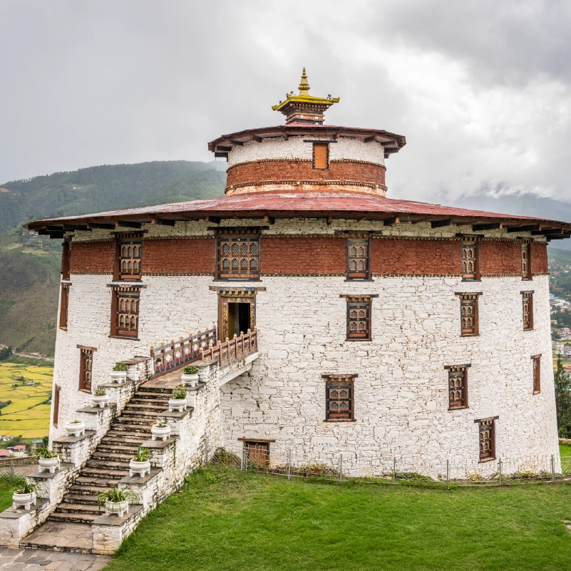 Paro img-01