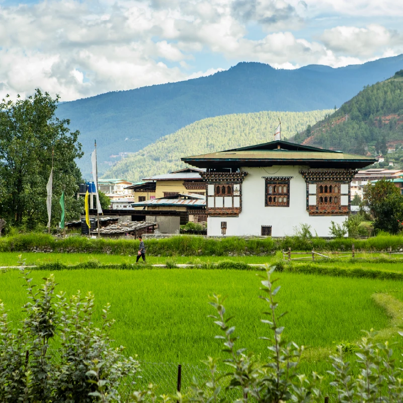 Paro img-02