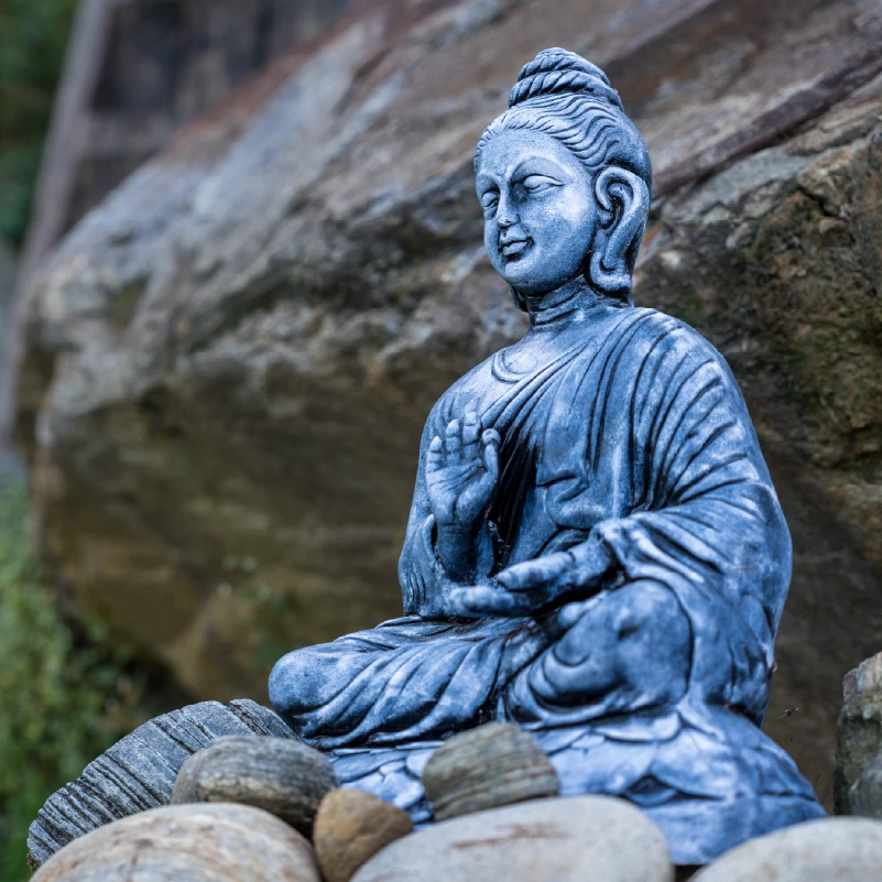 Paro img-03