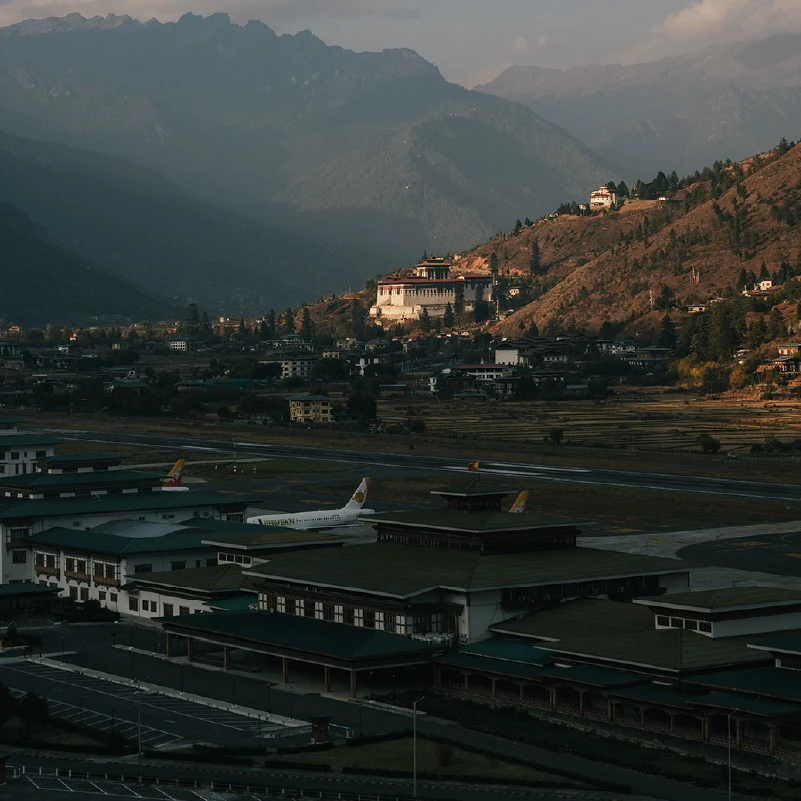 Paro img-04